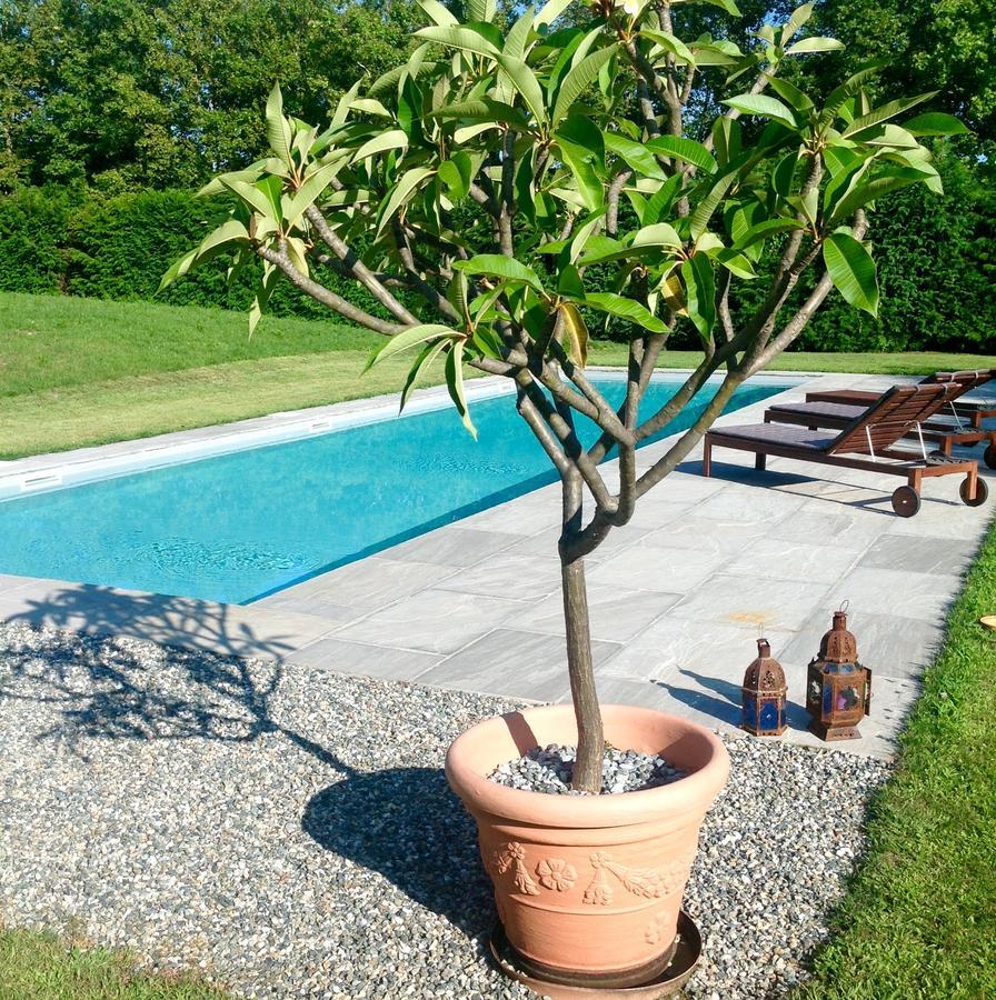 Alla Gazza Ladra Bed & Breakfast Prato Sesia Ruang foto